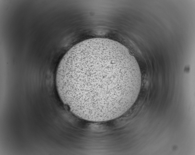 X0000102360568200808291228