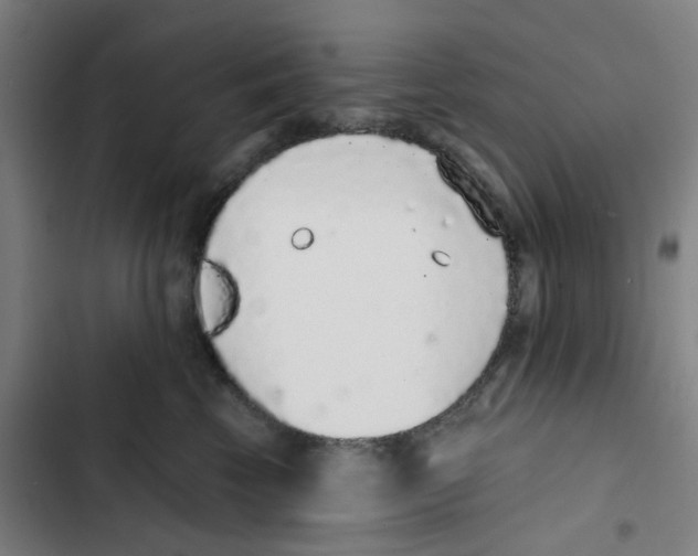 X0000102360569200808291228