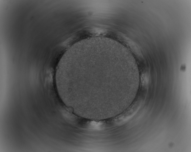 X0000102360570200808291228