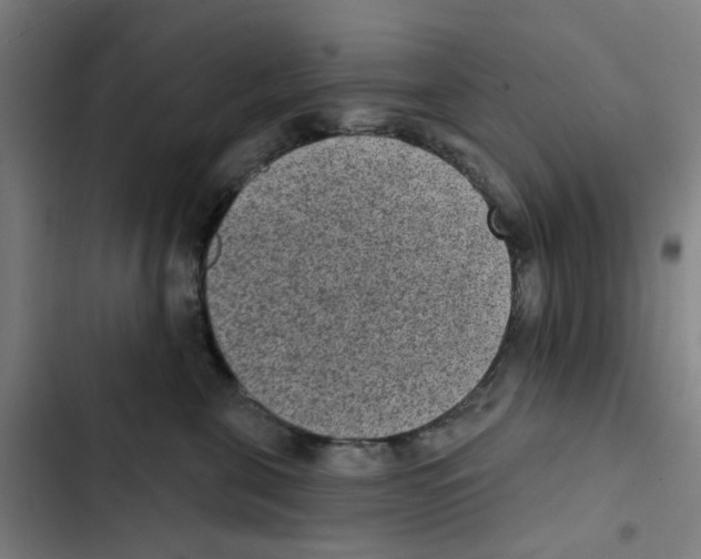 X0000102360571200808291228