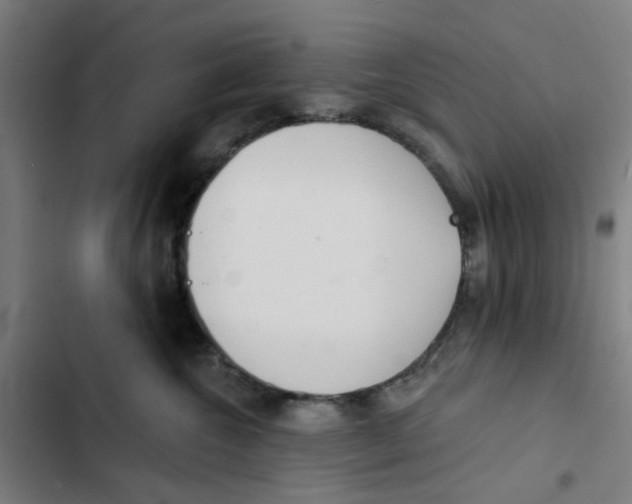 X0000102360572200808291228