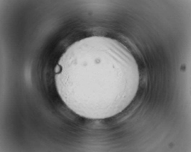 X0000102360573200808291228