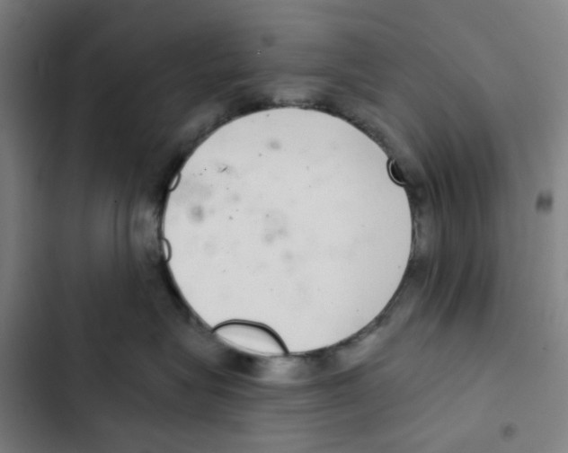 X0000102360575200808291228