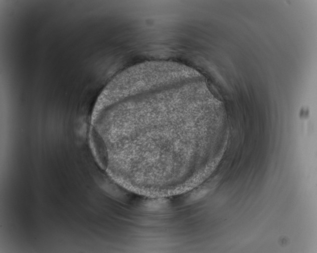 X0000102360576200808291228