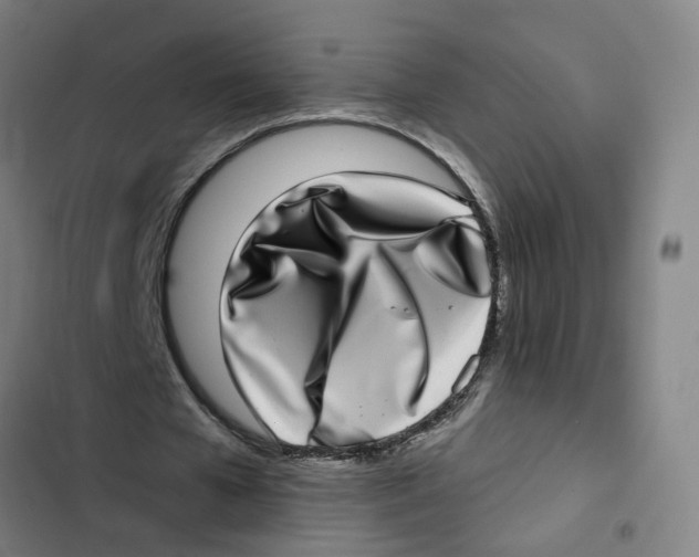 X0000102360577200808291227