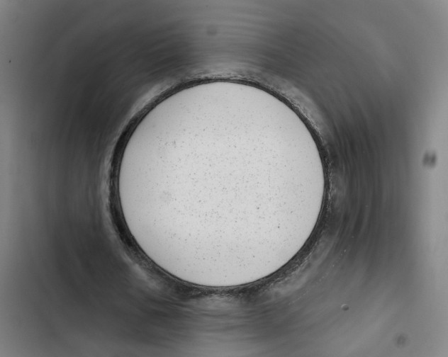 X0000102360578200808291227