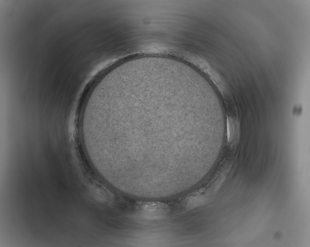 X0000102360579200808291227