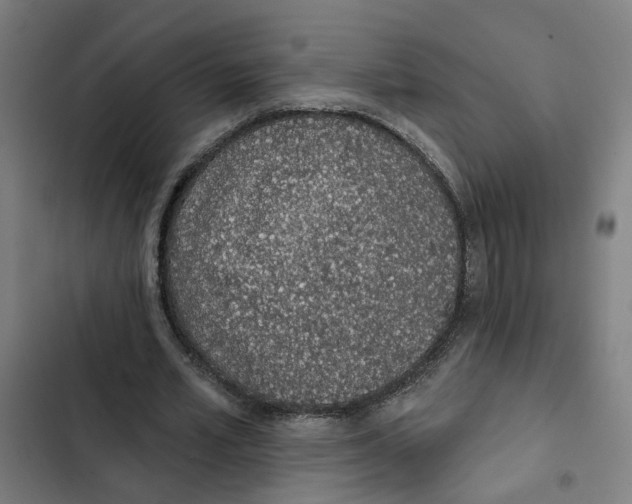 X0000102360581200808291227