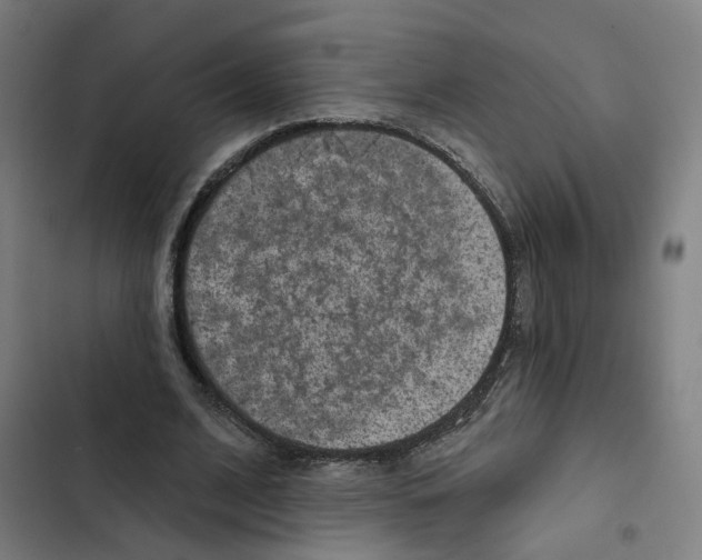 X0000102360584200808291227