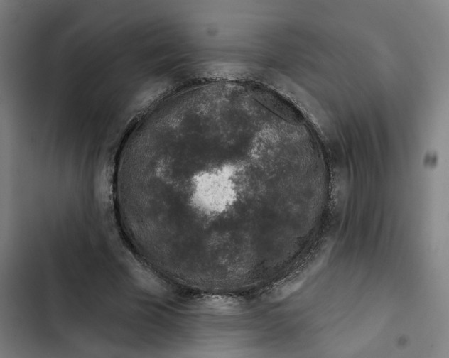 X0000102360585200808291227