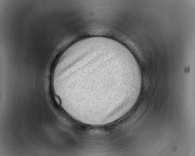 X0000102360586200808291227