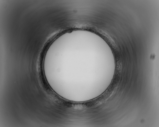 X0000102360587200808291227