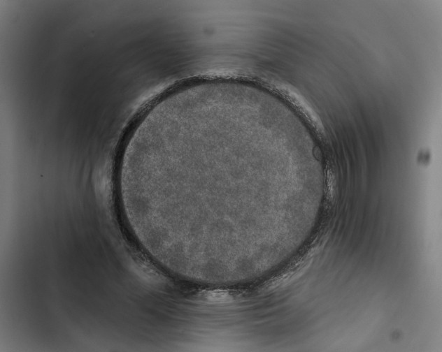 X0000102360588200808291227