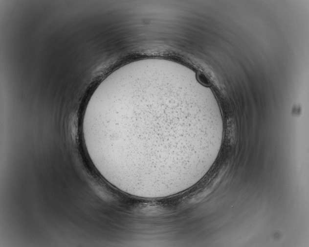 X0000102360589200808291227