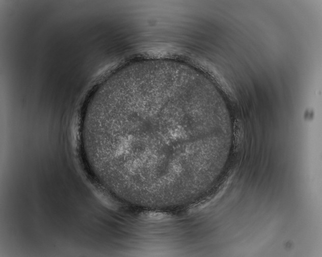 X0000102360590200808291227