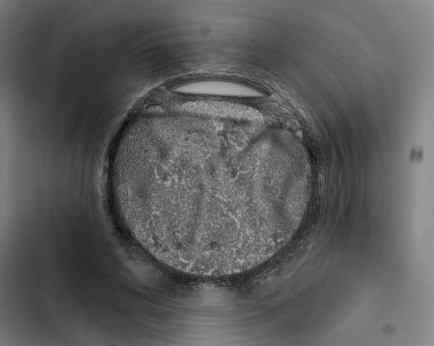 X0000102360592200808291227