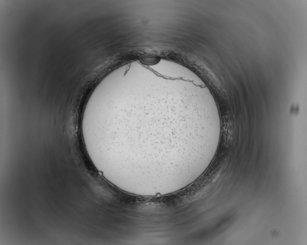 X0000102360593200808291227