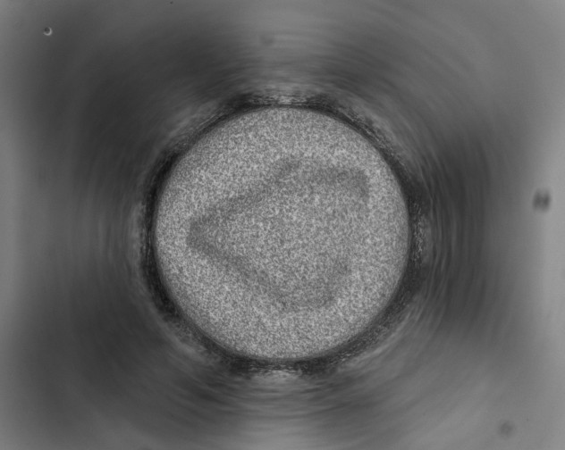 X0000102360594200808291227