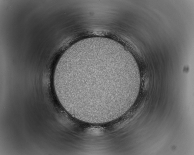 X0000102360595200808291227