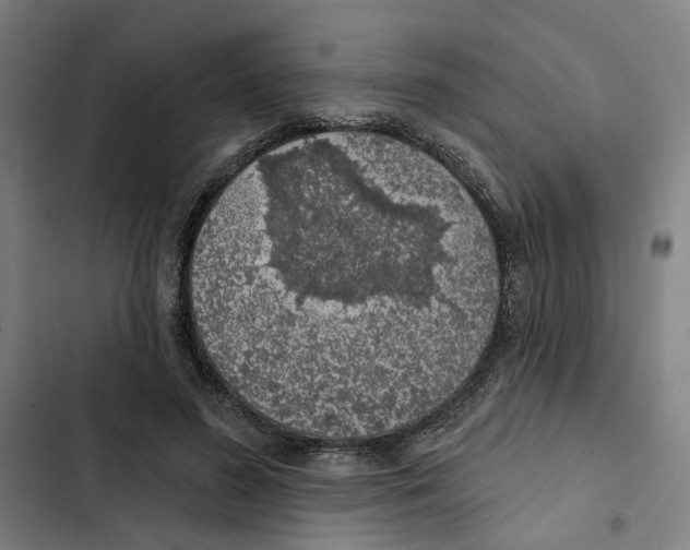 X0000102360596200808291227