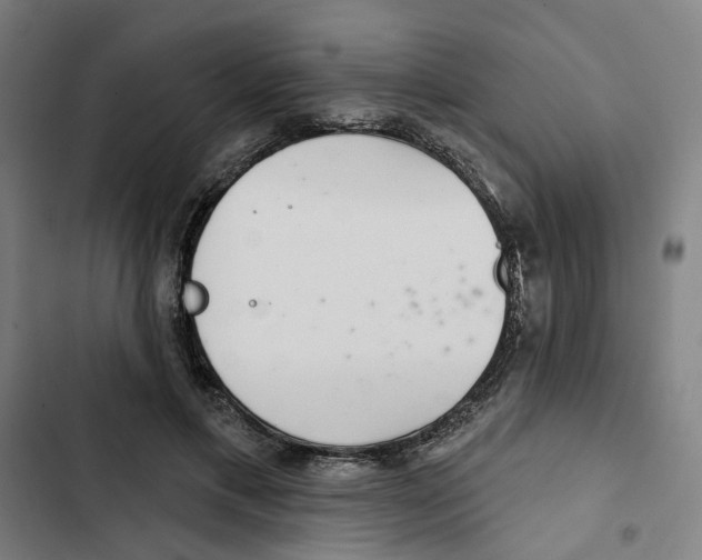 X0000102360597200808291227