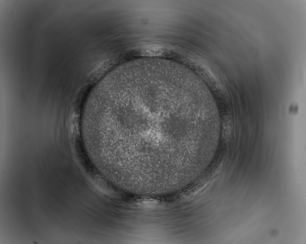 X0000102360598200808291227
