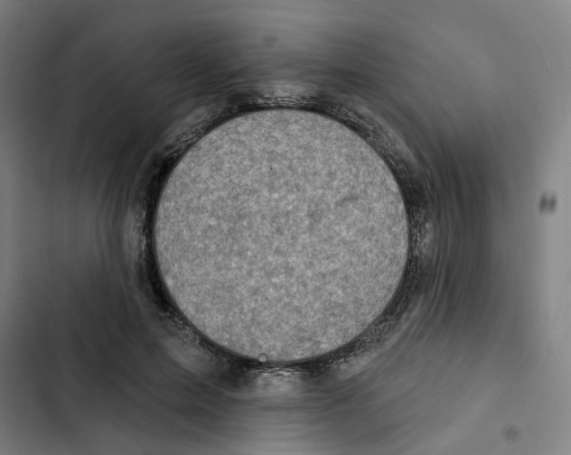 X0000102360599200808291227