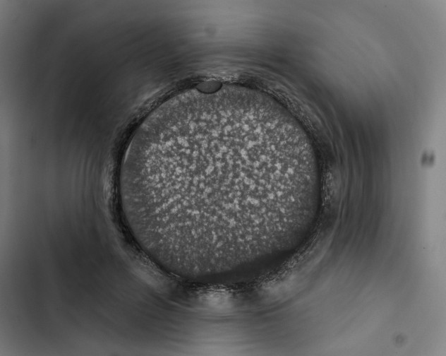X0000102360600200808291227