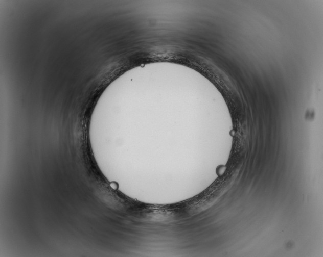 X0000102360601200808291227