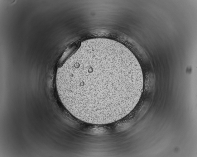 X0000102360604200808291227