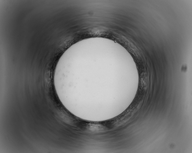 X0000102360605200808291227