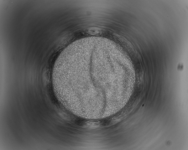 X0000102360606200808291227