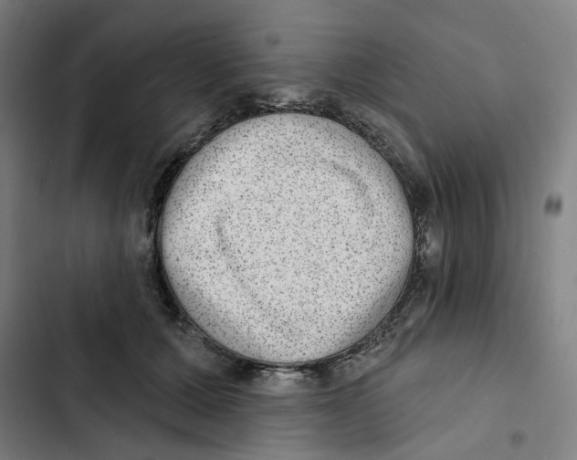 X0000102360607200808291227
