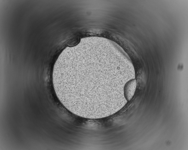 X0000102360608200808291227
