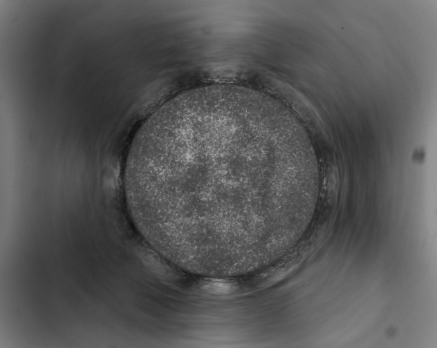 X0000102360610200808291227