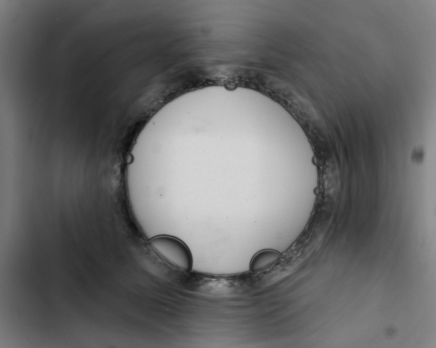 X0000102360611200808291227