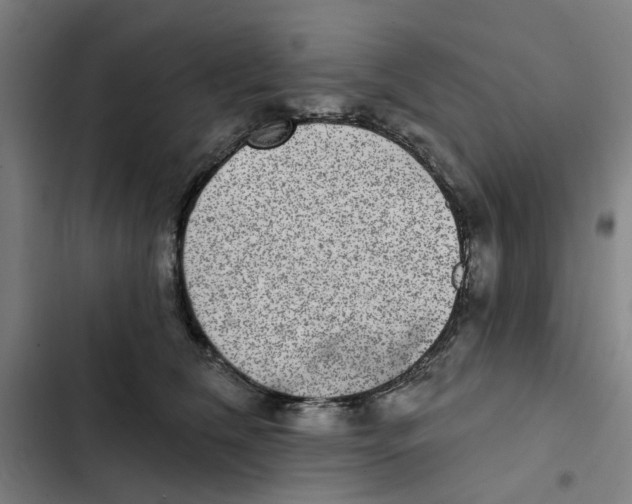 X0000102360612200808291227