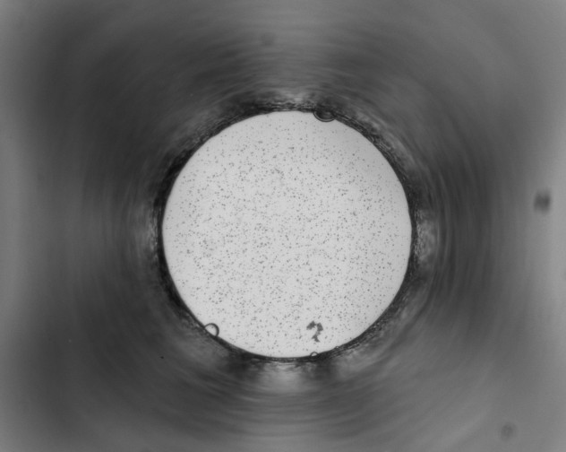 X0000102360613200808291227