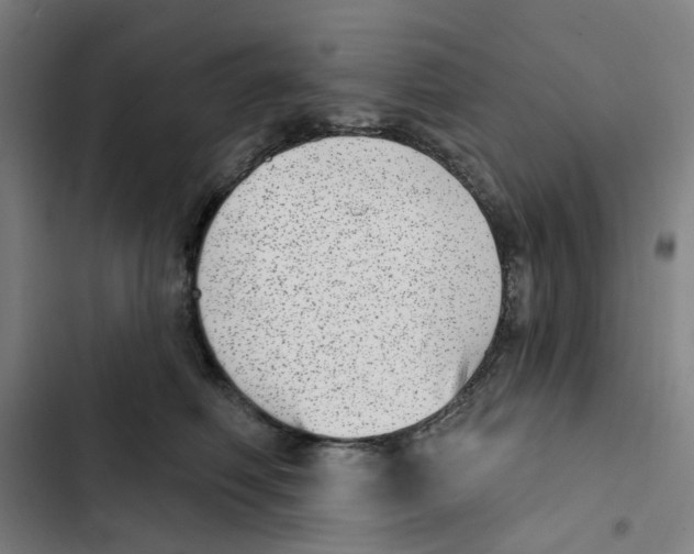 X0000102360614200808291227