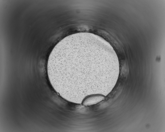 X0000102360616200808291227