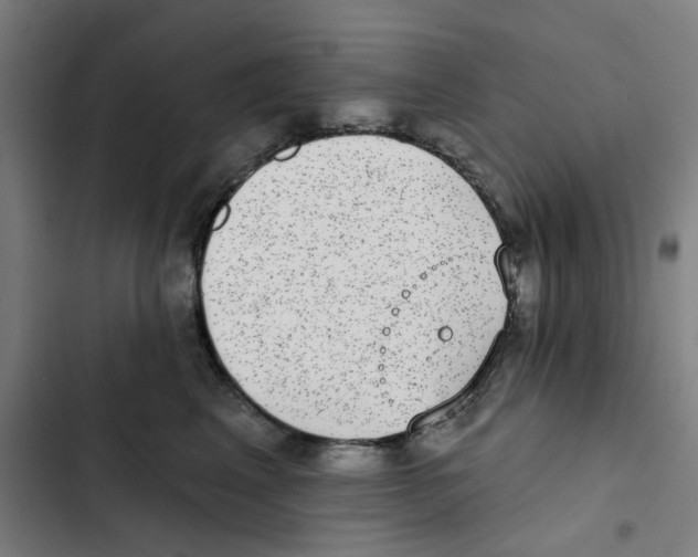 X0000102360617200808291227