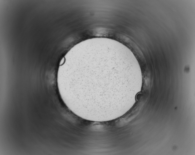 X0000102360620200808291227