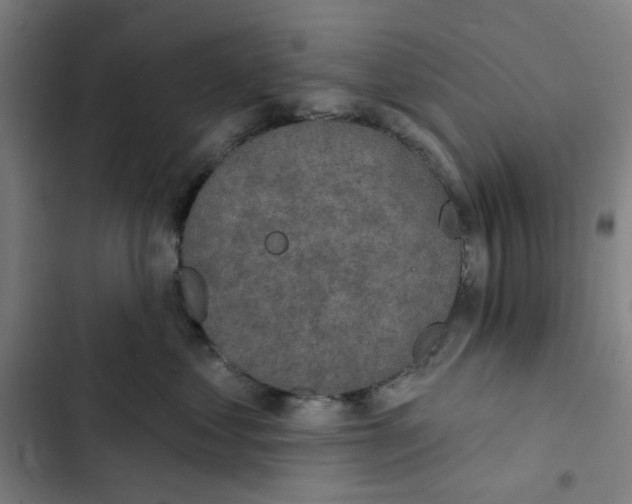 X0000102360621200808291227