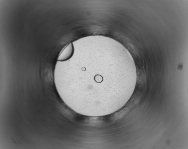 X0000102360622200808291227