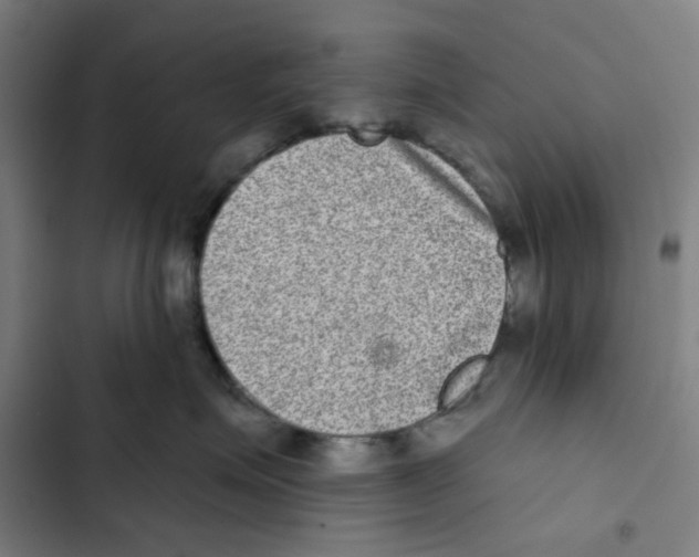 X0000102360623200808291227