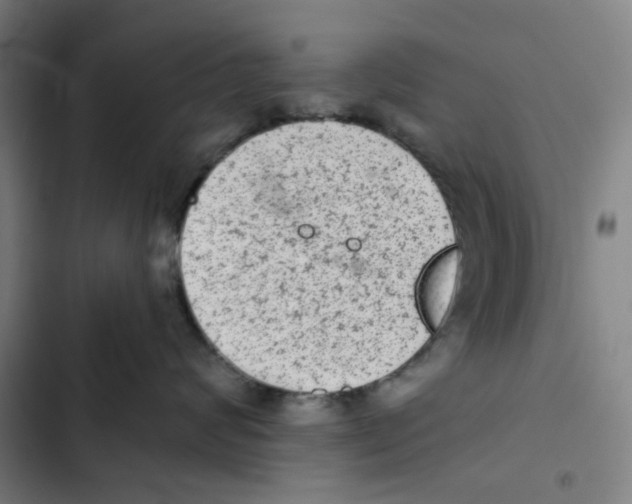 X0000102360624200808291227