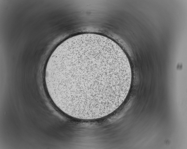 X0000102360625200808291226