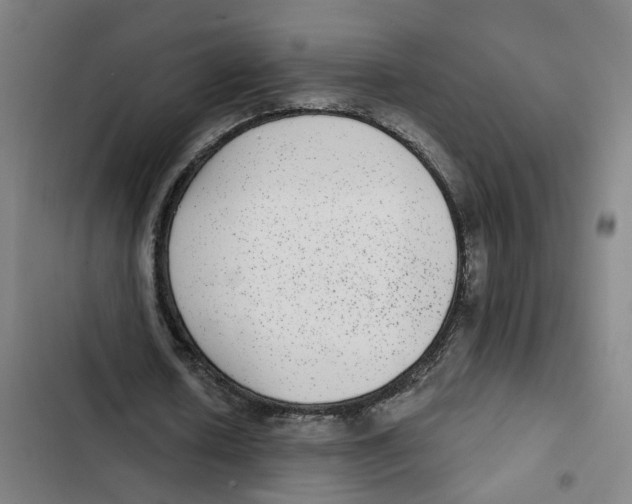 X0000102360626200808291226