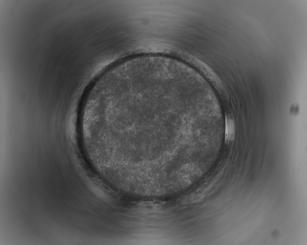 X0000102360627200808291226