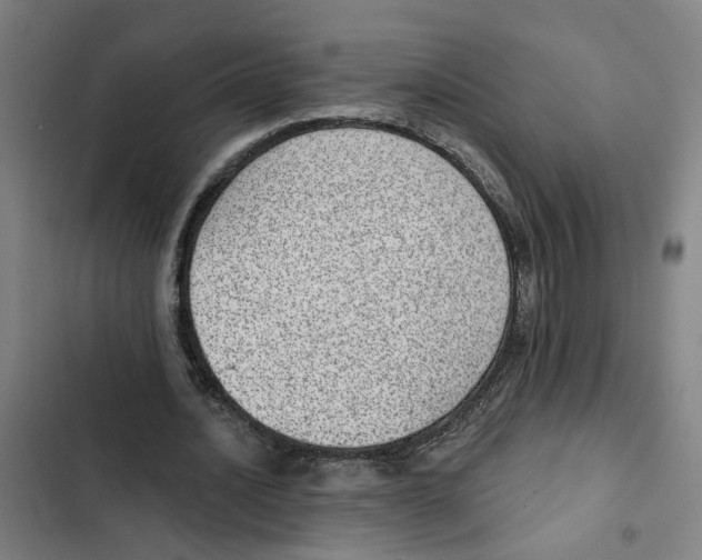 X0000102360628200808291226